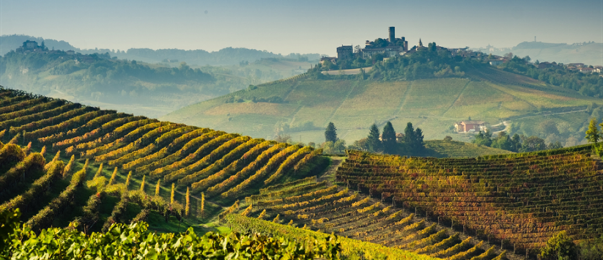 Behind the Scenes of Fresh Produce in Tuscany